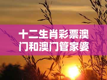 十二生肖彩票澳门和澳门管家婆100精准谜语有哪些：24-18-35-03-12-25 t:20和防范不实的假营销-深度释义、解释与落实