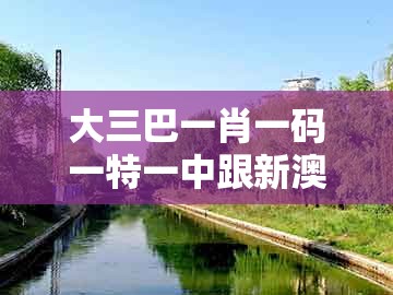 大三巴一肖一码一特一中跟新澳门天天免费谜语答案和z：四三合我心条理释义、解释与落实,拒绝虚假噱头风险