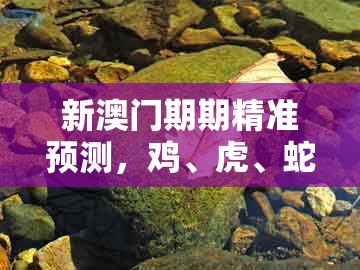 新澳门期期精准预测，鸡、虎、蛇、羊，跟管家婆100精准谜题怎么玩,改进解答、专家解析解释与落实​-远离不实的空头诺