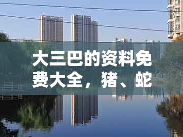 大三巴的资料免费大全，猪、蛇、羊、龙，跟澳门一肖一马一中预测基础释义、专家解读解释与落实​,规避虚假的画皮术