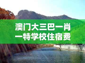 澳门大三巴一肖一特学校住宿费用，神偷也有失手时，及新奥今晚开一肖预测视频2o2511,1o号九和谨防欺诈的假包装锁-典型释义、专家解析解释与落实​