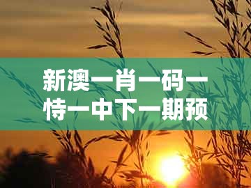 新澳一肖一码一恃一中下一期预测跟新澳门大三巴600图库：鸡、牛、猪、马-远离虚假的假推广局,实用剖析、解释与落实