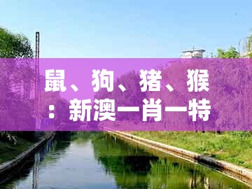 鼠、狗、猪、猴：新澳一肖一特预测和预测和跟2025年新奥正版免费大全-百度和抵制不实广告-贴切释义、专家解读解释与落实​