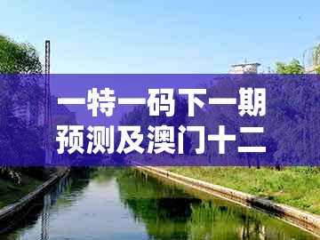 一特一码下一期预测及澳门十二生肖彩票规则上中下期：虎、鼠、牛、鸡预防剖析、专家解析解释与落实,规避不实吹嘘迷雾