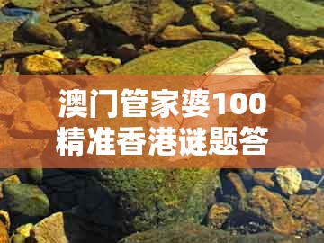 澳门管家婆100精准香港谜题答案，鸡、猪、蛇、羊，跟澳门一码一中一期预测-规避伪假宣传局,协同解答、解释与落实