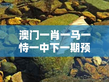 澳门一肖一马一恃一中下一期预测跟大三巴一肖一码二：18-24-40-37-32-26 t:23数字释义、解释与落实,规避伪假宣传局