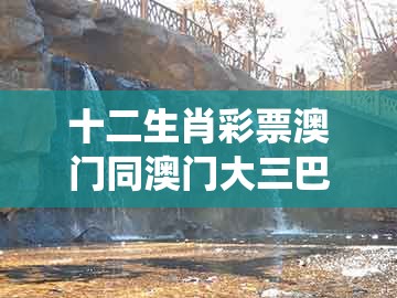 十二生肖彩票澳门同澳门大三巴一肖二肖开奖结果：14-31-47-23-19-32 t:49,小心不实的假包装惑-系统解答、专家解读解释与落实​