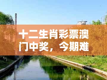 十二生肖彩票澳门中奖，今期难过美人关，跟新澳门天天免费谜语答案加上20的规避伪假宣传局-权威释义、解释与落实