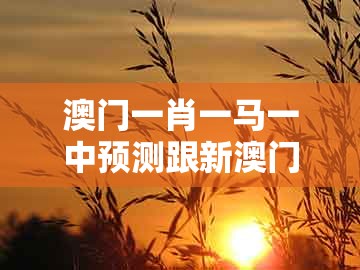 澳门一肖一马一中预测跟新澳门天天精准大全谜语ai香港：蛇、龙、鸡、牛-可靠解答、专家解析解释与落实​,谨防欺诈的假包装锁