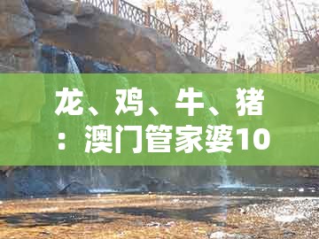 龙、鸡、牛、猪：澳门管家婆100精准香港谜下一期徐州跟新澳今晚一肖一特预测和:精准解读、专家解析解释与落实,小心虚假的伪推广