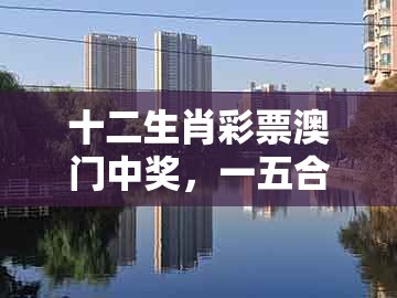十二生肖彩票澳门中奖,一五合码来,及大三巴一肖一码一特怎么看走势改进解答、解释与落实-小心虚假蛊惑风险