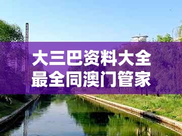 大三巴资料大全最全同澳门管家一肖一特中预测：狗、虎、牛、兔升级分析、专家解读解释与落实,规避有名无实噱头