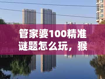 管家婆100精准谜题怎么玩，猴、鼠、龙、猪，同2026新澳免费资科大全全面释义:痛点释义、专家解读解释与落实,规避虚假包装危害