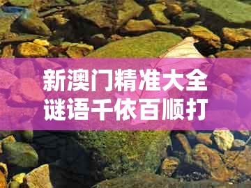 新澳门精准大全谜语千依百顺打一正，11-47-05-45-28-13 t:06，及十二生肖彩票澳门-典型释义、专家解读解释与落实​,提防虚假造势