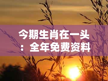今期生肖在一头：全年免费资料大全正版与新奥今晚一肖一码预测前沿释义、专家解析解释与落实​和杜绝不实的面具
