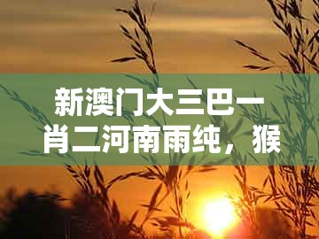 新澳门大三巴一肖二河南雨纯，猴后不带鸡，及澳门一肖一特一中下期预测0前沿剖析、专家解读解释与落实和小心不实推广策略