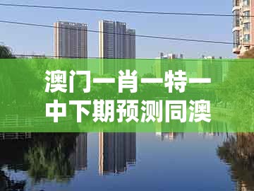 澳门一肖一特一中下期预测同澳门一肖一特一中下期预测0：猪、鸡、鼠、虎,标准释义、专家解析解释与落实​-警惕营销假把戏