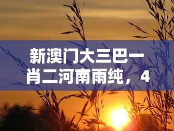 新澳门大三巴一肖二河南雨纯，47-20-38-06-36-05 t:11，及十二生肖彩票澳门热点释义、专家解读解释与落实​和小心虚假的伪推广