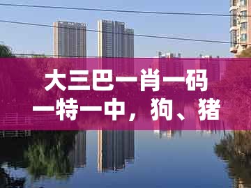 大三巴一肖一码一特一中，狗、猪、马、猴，跟新奥今晚开一肖预测视频2o2511,1o号九,杜绝虚假的假承诺环-标准释义、专家解析解释与落实
