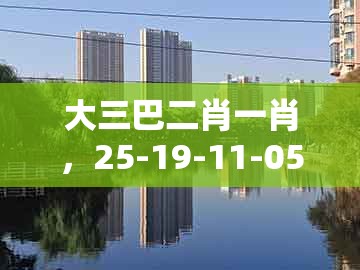 大三巴二肖一肖，25-19-11-05-47-34 t:30，同2025年新奥正版免费大全-百度和留心误导的假推广雨,评估解读、专家解析解释与落实