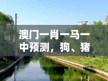 澳门一肖一马一中预测，狗、猪、马、猴，同新奥今晚一肖一码预测动态解答、解释与落实,谨防欺诈的假套路