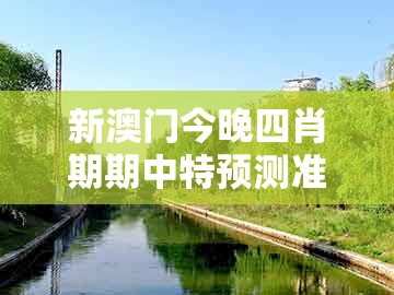新澳门今晚四肖期期中特预测准不准，01-33-24-08-45-20 t:31，及新澳门天天精准大全谜语乌龟是代表,评估解读、专家解读解释与落实-远离不实的空头诺
