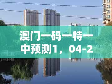 澳门一码一特一中预测1，04-26-46-39-29-21 t:49，跟2025年新奥正版免费大全-百度直观释义、专家解析解释与落实​和防范欺诈的假幌子电